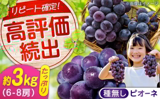 期間限定/8月下旬〜9月上旬頃発送沼隈ぶどう「ピオーネ」約1kg×3 ６~８房（種なし） 広島県福山市/福山市農業協同組合　沼隈グリーンセンター ぶどう ブドウ 葡萄 種なし 大粒 ピオーネ [BAEV009]
