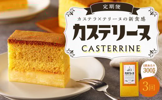 【全3回定期便】長崎カステリーヌ 1本 合計3本 ／ タナカヤ カステラ かすてら スイーツ デザート お菓子 菓子 長崎県 長崎市 1476647 - 長崎県長崎市