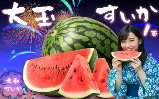 大和スイカ「祭りばやし」【2025年7月初旬～7月下旬ごろ発送予定】 ／ ヒロちゃんファーム 西瓜 スイカ すいか 果物 フルーツ デザート  奈良県 田原本町
