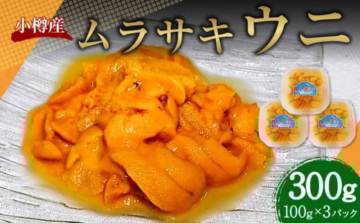 小樽産 ムラサキウニ （塩水生ウニ） 100g×3パック 合計300g 【2025年5月下旬～8月下旬 発送予定】 紫雲丹 紫ウニ 紫うに ウニ うに 雲丹 塩水生うに 生ウニ 刺し身 刺身 海鮮丼 魚介類 海産物 冷蔵