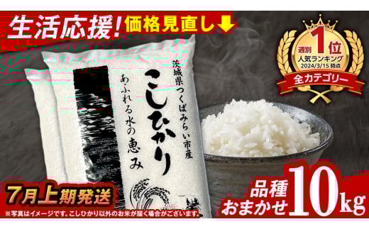 【 7月上期発送 / 数量限定 】茨城県産 精米 10kg (品種おまかせ） 令和6年産 こしひかり 米 コメ こめ 単一米 限定 茨城県産 国産 美味しい お米 おこめ おコメ