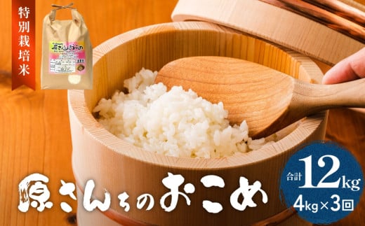 《先行予約》令和7年度産 原さんちのお米 ４kg 3種の中からいずれか1種お届け ひとめぼれ ヒノヒカリ にこまる 3回定期便 特別栽培米 原農園 有機栽培 化学肥料不使用 アートテン農法 抗酸化農法 完熟堆肥 有効微生物農法 産直 お米 栄養価 体に良い おいしい 安心 田植え 収穫 1512637 - 大分県玖珠町