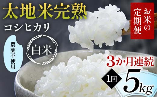 お米の定期便 農薬不使用米 太地米完熟 【こしひかり】 白米5kg×3か月連続 ブランド米 お米 精米 白米 人気 F7X-0412