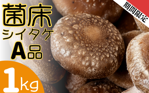 ファーム吉五郎　菌床シイタケA品1kg