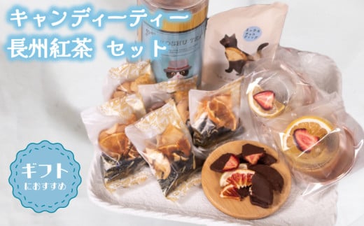 キャンディーティー 長州紅茶 セット  ( ドライフルーツ りんご みかん オレンジ フルーツ 果物 くだもの 紅茶 詰め合わせ ギフト プレゼント ) 下関 山口
