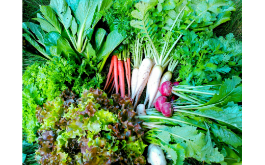 訳ありの理由画像