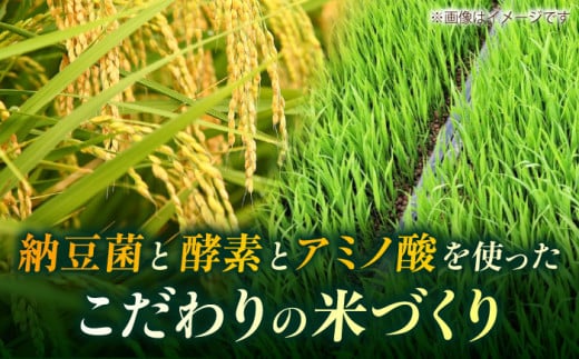 アイテムID:446398の画像2枚目