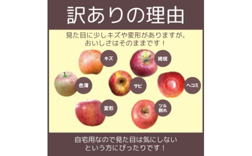 青森県黒石市のふるさと納税 ＜黒石市産＞糖度13度以上保証!王林訳アリ家庭用約5kgりんご ※離島・沖縄は配送不可【1521335】