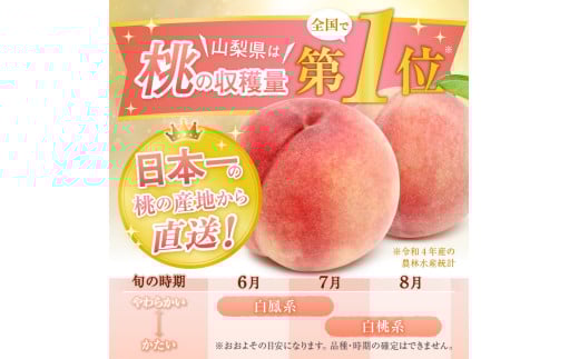 山梨県甲州市のふるさと納税 甲州市産厳選旬の桃大玉 約2kg 5～6玉入り【2025年発送】（MG）B-481 【桃 もも モモ 令和7年発送 期間限定 大玉 山梨県産 甲州市 フルーツ 果物】