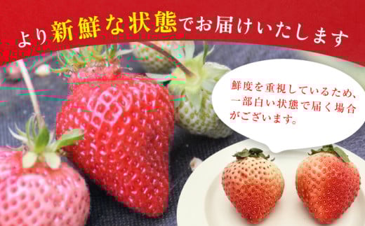 アイテムID:425699の画像5枚目