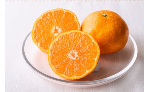 【先行予約】産地直送！愛媛県産温州みかん 7kg（2025年11月上旬より順次発送） 【 ふるさと納税 人気 おすすめ ランキング みかん ミカン 蜜柑 温州みかん 温州ミカン フルーツ 果物 産地直送 ニュウズ 愛媛県産 愛媛県 伊方町 送料無料 】 IKTF023