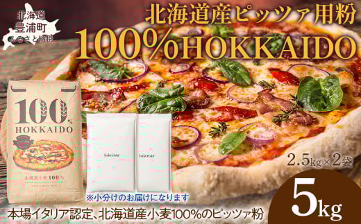 100% HOKKAIDO ピッツァ用粉 5kg 【 ふるさと納税 人気 おすすめ ランキング 小麦粉 パン ピザ ピッツァ 国産 北海道 HOKKAIDO 自宅用 江別製粉 北海道 豊浦町 送料無料 】 TYUAI023