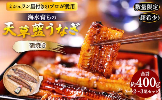うなぎ 【ミシュラン1つ星店 採用】 国産 蒲焼き2-3尾 400g 【数量限定】海水育ちの天草藍うなぎ 331248 - 熊本県宇城市