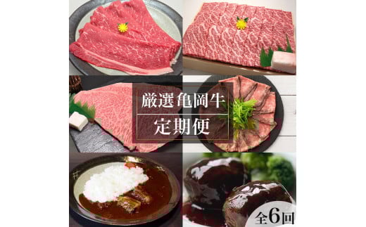 【全6回定期便】亀岡牛 定期便 亀岡牛専門店が厳選 お楽しみ 食べ比べ セット ≪冷凍 焼肉 すき焼き サーロイン ステーキ ローストビーフ 赤身 もも 肉 牛肉 国産牛 黒毛和牛 肉定期便 京都 丹波 BBQ 人気 おすすめ≫ ※離島への配送不可