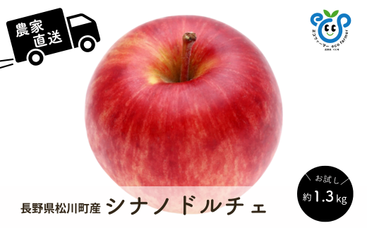 HF43-25A 【信州松川町産】シナノドルチェ 約1.3kg ／9月中旬頃発送開始予定 // 長野県 南信州  減農薬栽培 りんご シナノドルチェ エコファーマー認証