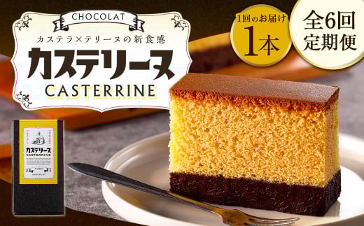 【全6回定期便】長崎カステリーヌショコラ 1本 合計6本 ／ スイーツ デザート カステラ おかし 菓子 おやつ チョコレート ショコラ テリーヌ ご当地スイーツ かすてら テリーヌ 長崎県 長崎市 1544529 - 長崎県長崎市