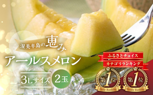 【9月中お届け】 【先行予約】メロン 3L × 2玉  日研農園 ／ メロン めろん 先行予約 フルーツ 果物 アールスメロン 青肉メロン 旬 夏 厳選 高級 人気 デザート  メロン ゼリー 贈答用 贈答品 贈答 メロン パン 産直 産地直送 ギフト プレゼント 贈り物 愛知県 特産品 産地直送 田原市 渥美半島 12000円 7月 8月 9月 1482179 - 愛知県田原市
