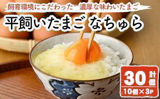 平飼い卵 なちゅら(計30個・10個×3P) 卵 玉子 鶏卵 卵かけご飯 玉子焼き【108800400】【カジワラファーム】