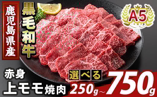 [選べる容量]鹿児島県産A5等級黒毛和牛赤身上モモ焼肉(計250g〜750g)[ふるさと産直バザール]霧島市 牛肉 国産 鹿児島県産 モモ 焼肉 肉 精肉
