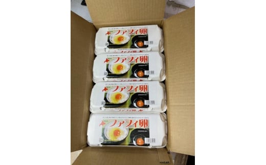 ファフィ卵10個入4パック（サイズ不ぞろい）