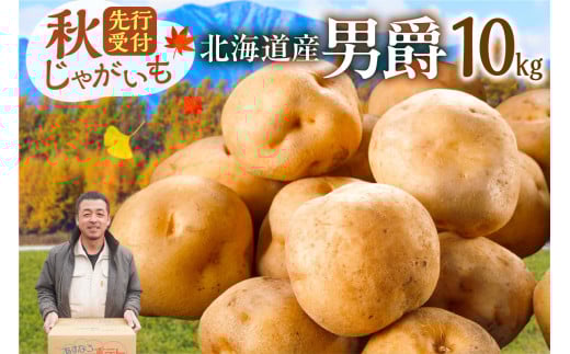 先行受付！ホクホク！しっとりなめらか！ 北海道産 男爵 いも じゃがいも 男爵いも 約10kg じゃがいも いも 芋 産地直送 秋_S041-0006