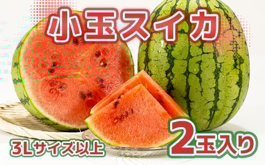 小玉スイカ 2Lサイズ以上 2玉入り 西瓜 すいか 青果物 果物 フルーツ 【2025年7月上旬～8月上旬迄発送予定】