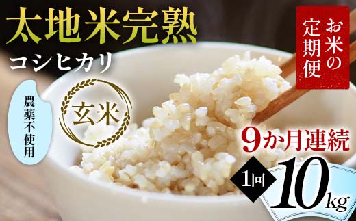 お米の定期便 農薬不使用米 太地米完熟 【こしひかり】 玄米10kg×9か月連続 ブランド米 お米 人気 F7X-0426