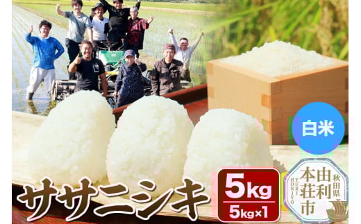 【白米】秋田県由利本荘市産 ササニシキ 5kg（5kg×1袋）令和6年産 2111783 - 秋田県由利本荘市