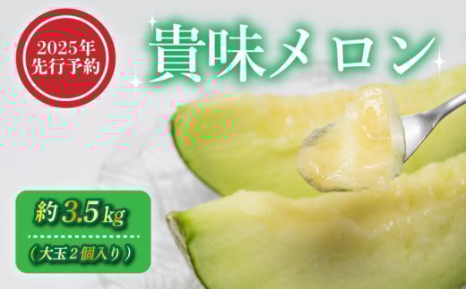 【2025年 先行予約 】 貴味 メロン 約3.5kg 青肉 めろん melon 甘いメロン タカミメロン デザート ジューシー 産地直送 高級 ブランド 美味しい おいしい 糖度 甘い あまい おすすめ 人気 旬 果物 くだもの フルーツ 国産 季節限定 期間限定 数量限定 ギフト 贈り物 贈答 プレゼント 千葉県 旭市 向後メロン園 kug001