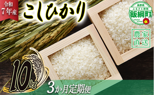 米 こしひかり 10kg × 3回 【 3か月 定期便 】( 令和7年産 ) 2025年10月上旬頃から順次発送予定 米澤商店 コシヒカリ 白米 精米 長野県 飯綱町 [1245] 279484 - 長野県飯綱町