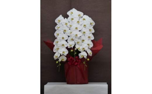 胡蝶蘭 3本立ち ラッピング付き 開花輪30輪以上 花 お花 flower 洋ラン コンパクト 植物 開花輪 生花 大輪胡蝶蘭 蘭 こちょうらん 白色 鉢花 家庭用 鑑賞 インテリア 贈答 記念日 ギフト プレゼント お祝い 祝い 誕生日 還暦 米寿 お歳暮 お中元 贈り物 母の日 開店祝い 豪華 産地直送 ふるさと納税 千葉県 旭市 石毛洋蘭園 igr001