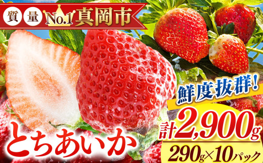 鮮度抜群 とちあいか 5箱 (290g×10) 2900g  |  選べる 容量 5箱 日本一 産地 大粒 冬 味覚 いちご 苺 イチゴ ストロベリー 大きい  ハート 美味しい 果汁 ジューシー 甘い あまい 甘味 たっぷり 大容量 | 人気 レビュー 栃木県 真岡市 送料無料