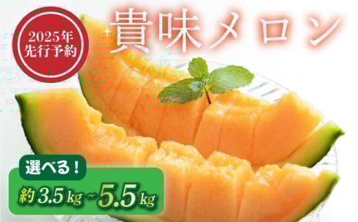 [2025年 先行予約 ] 貴味 メロン 選べる 約3.5kg / 約5.5kg 赤肉 めろん melon 甘いメロン タカミメロン デザート ジューシー 産地直送 高級 ブランド 美味しい おいしい 糖度 甘い あまい おすすめ 人気 旬 果物 くだもの フルーツ 国産 季節限定 期間限定 数量限定 ギフト 贈り物 贈答 プレゼント 千葉県 旭市 向後メロン園 kug