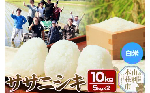 【白米】秋田県由利本荘市産 ササニシキ 10kg（5kg×2袋）令和6年産 2111784 - 秋田県由利本荘市