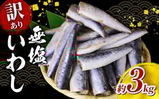 ＼最短7営業日以内発送／【 訳あり 】 いわし 無塩 ドレス 約 3kg 国産 千葉県産 イワシ 冷凍 鰯 頭なし 内蔵除去 簡単調理 手軽 つみれ ハンバーグ 煮物 煮付け 蒲焼き かば焼き 梅煮 和物 和風 料理 和食 おすすめ ご飯 の お供 おかず 惣菜 お弁当 夕食 食卓 人気 魚 海鮮 水産 水産加工品 訳アリ 訳有り わけあり 千葉県 旭市 株式会社ヤマゴ ymg003