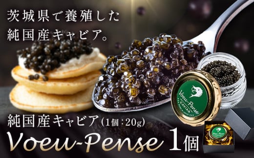 キャビア 純国産キャビア Voeu-Pense 1個 《12月中旬頃出荷》キャビアフィッシュカンパニー 高級 チョウザメ クラッカー バゲット パスタ 茨城県 河内町 1173327 - 茨城県河内町