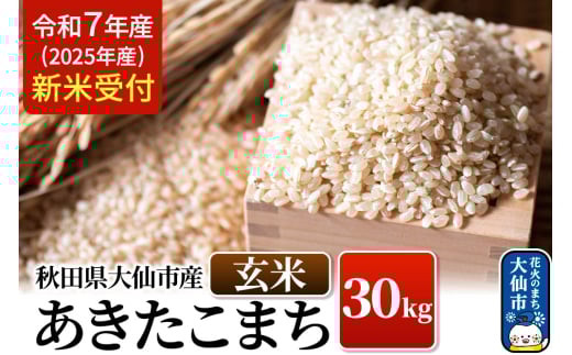 《令和7年産 新米受付》令和7年 秋田県大仙市産 あきたこまち【玄米】30kg