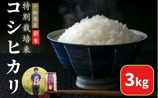 【2025年9月順次発送】令和7年産 新米 白米 コシヒカリ 3kg 特別栽培米 健康  安心 安全  お試し 少量 小分け 四国 徳島 小松島 米 おいしい kome お米 こめ おこめ こしひかり 精米 国産 ごはん ご飯 白飯 ゴハン 人気 コスパ おすすめ TKG 卵かけご飯 おにぎり おむすび 2112902 - 徳島県小松島市