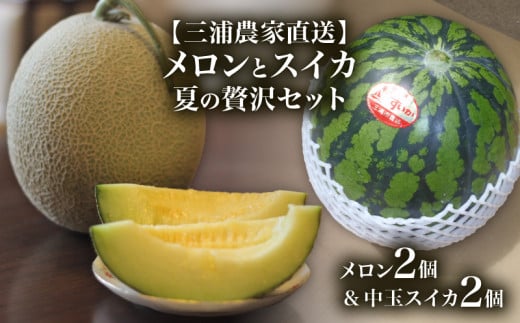 [三浦農家直送]メロンとスイカ夏の贅沢セット