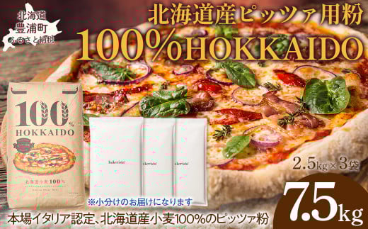 100% HOKKAIDO ピッツァ用粉 7.5kg 【 ふるさと納税 人気 おすすめ ランキング 小麦粉 パン ピザ ピッツァ 国産 北海道 HOKKAIDO 自宅用 江別製粉 北海道 豊浦町 送料無料 】 TYUAI024