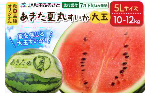 【先行受付】7月下旬より発送 秋田県横手市産 あきた夏丸すいか 5Lサイズ×1玉(約10~12kg)化粧箱入り 1023223 - 秋田県横手市