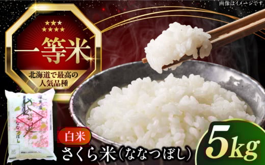 【25年7月下旬発送!】【令和6年産】【特A】一等米 さくら米（ななつぼし）5kg《厚真町》【とまこまい広域農業協同組合】  米 お米 白米 ななつぼし 特A 一等米 北海道[AXAB061]