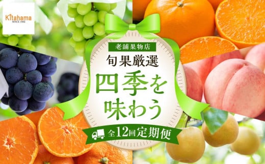 [定期便全12回]旬果厳選!四季を味わう単品定期便♪