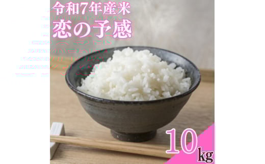 <令和7年産米>恋の予感10kg【1623584】 2113235 - 大分県日出町