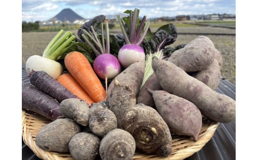（11月〜お届け）無農薬⭐︎無化学肥料⭐︎無除草剤　冬のお野菜セット（旬の有機野菜5〜10種類前後）