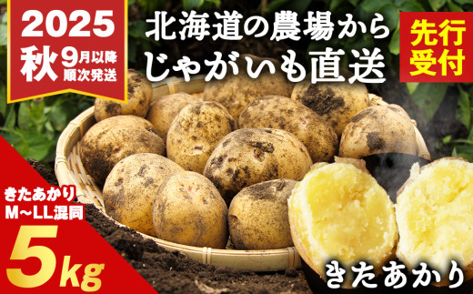 【2025年秋発送予約】積丹町産 きたあかり 5kg 数量限定 期間限定 じゃがいも 北海道 ジャガイモ 芋 いも