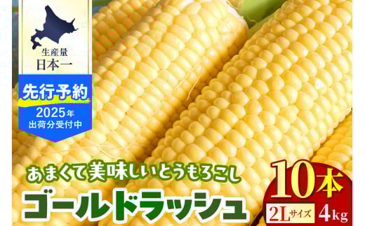 【2025年分先行予約】北海道十勝芽室町 とうもろこし ゴールドラッシュ 2Lサイズ 10本セット me078-003c-25 2086326 - 北海道芽室町