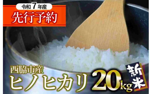[新米先行予約]ヒノヒカリ 20kg 白米 令和7年産 (66-24) 米 お米 こめ コメ ヒノヒカリ ひのひかり 人気 白米 兵庫県産 20kg 精米