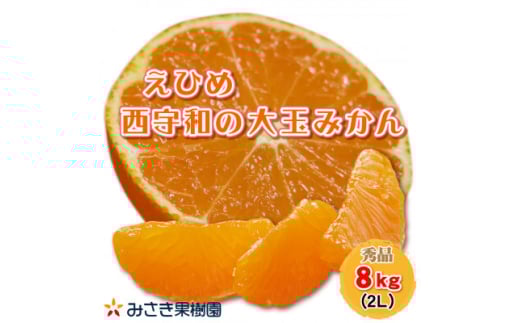 西宇和産大玉みかん2Lサイズ8kg＜C21-40＞【1623773】