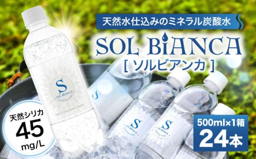 【単品】シリカ炭酸水 ソルビアンカ 500ml×24本 炭酸水 たんさんすい 水 飲料水 みず シリカ 定期便 単品 日田市 / 株式会社OTOGINO [AREF097] 2108012 - 大分県日田市